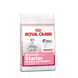 ROYAL CANIN Medium Starter x 3 Kg